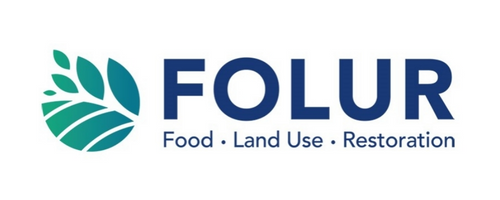 Folur-Logo