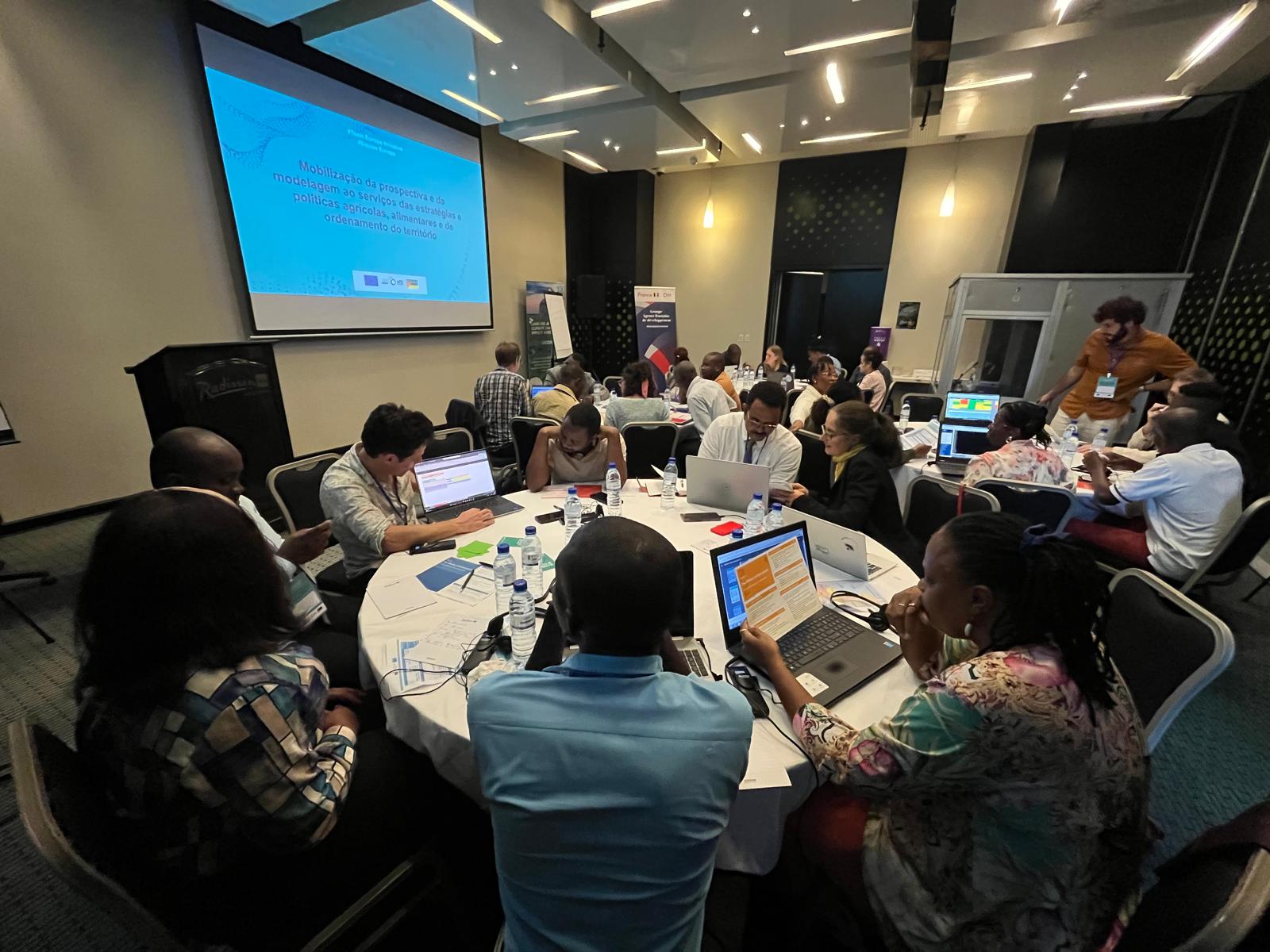 Participants playing the FABLE Serious Game at the MoSAFS Workshop in Maputo